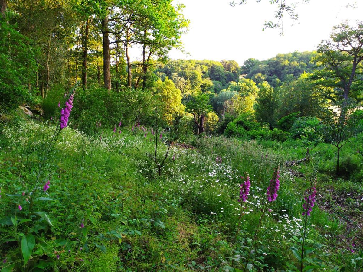 Les Gites Des Beaux Chenes Mortagne-sur-Sevre 外观 照片
