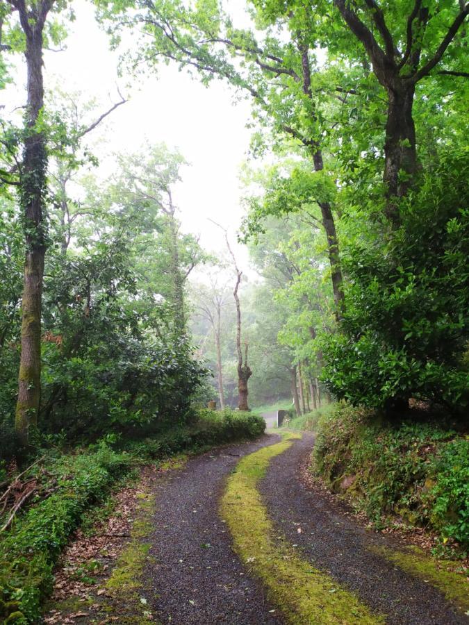 Les Gites Des Beaux Chenes Mortagne-sur-Sevre 外观 照片